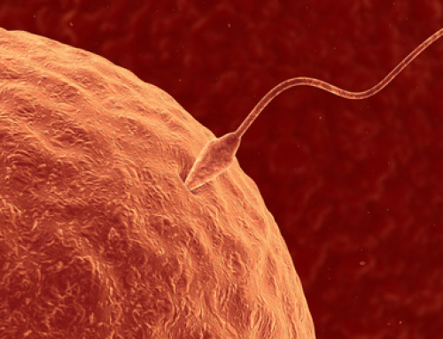 Protecting Male Fertility with L-glutathione