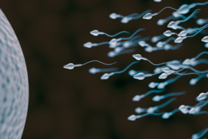 glutathione boosts sperm quality