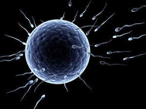 compare TOP-SELLING male fertility supplements now 
